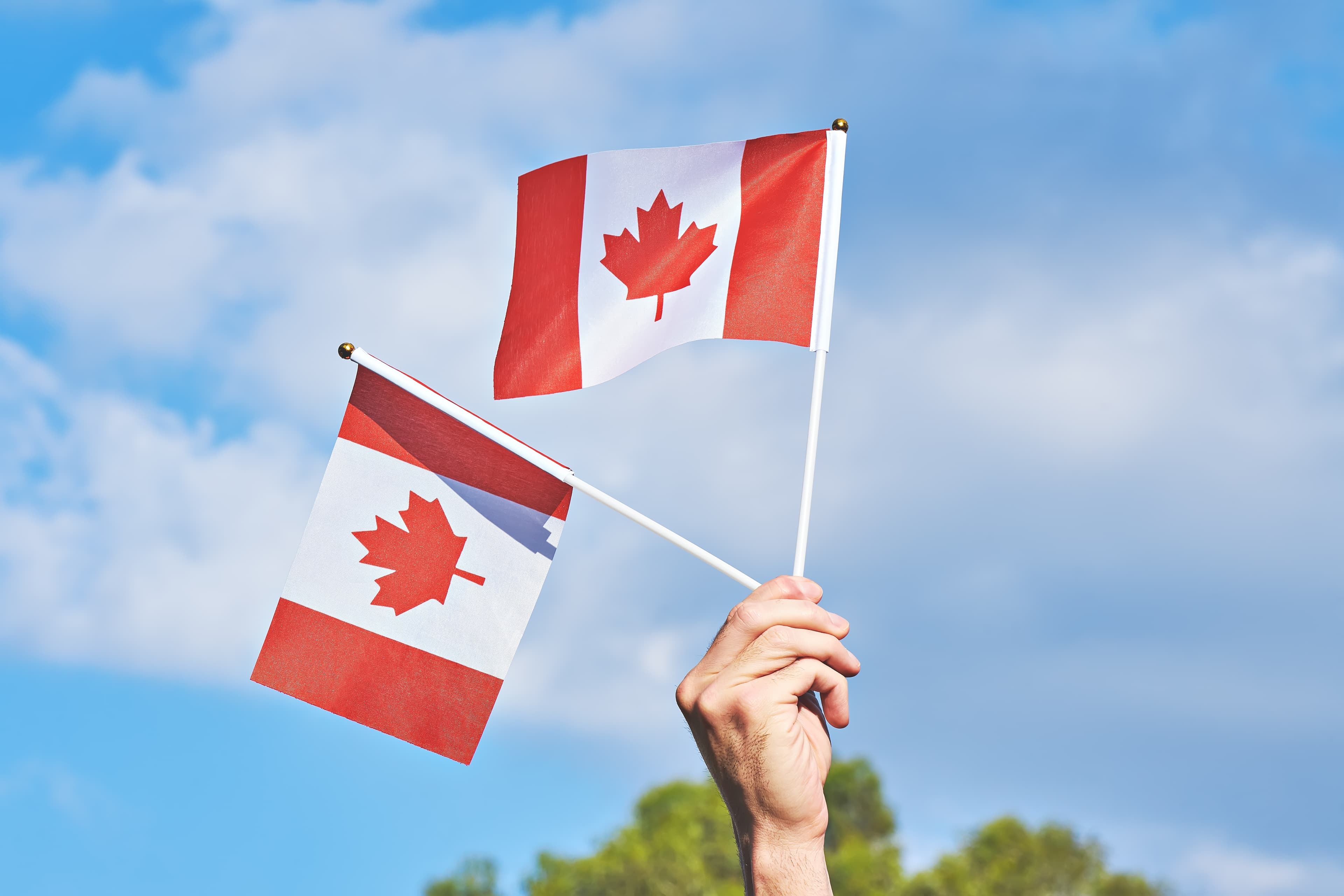 Advantages of Incorporating in Canada